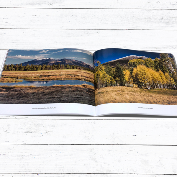 world-class fine art photography book printing services
