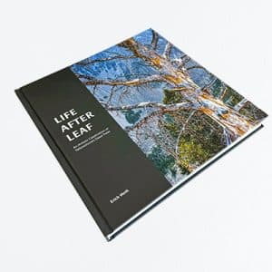 High-Quality Professional Printing Services Worldwide