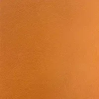 T302-8 orange
